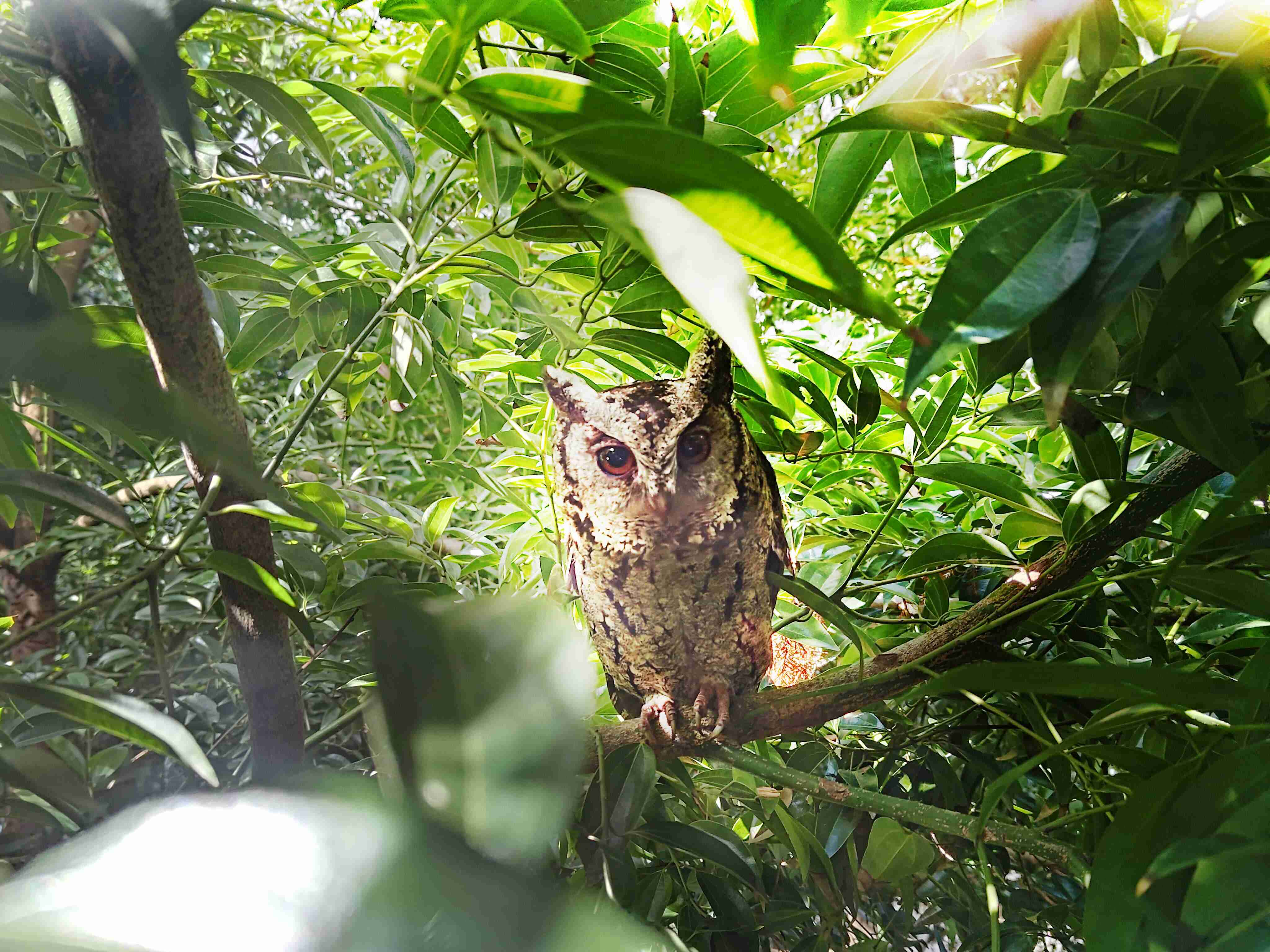 云顶国际8588yd致力提倡净零绿生活，，16年以来在全球各厂区植树逾百万棵，，，，造就各厂区树木蔚然成林，，，犹如森林工厂，，成为许多生物的栖息地